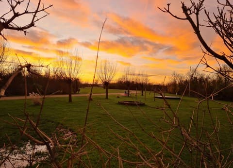 Camping 't Aardbeitje foto 2