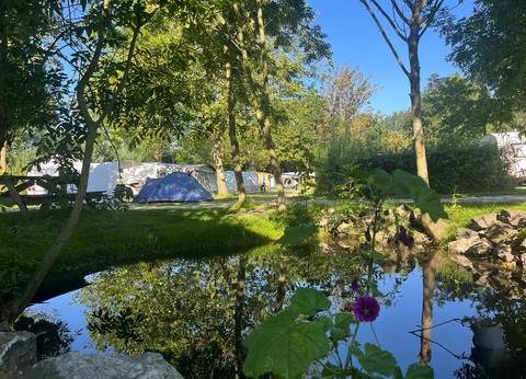 Minicamping d'Abeele foto 2