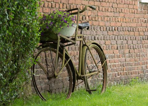 Het Achterste Loo foto 3