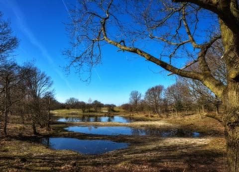 Camping Agri-Nova foto 6