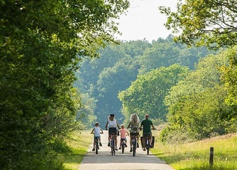 Agro-camping Ormsby Field foto 9