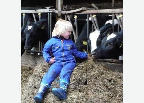 Agro-camping Ormsby Field foto 6