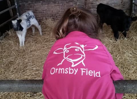 Agro-camping Ormsby Field foto 3