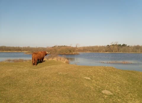 Agro-camping Ormsby Field foto 7
