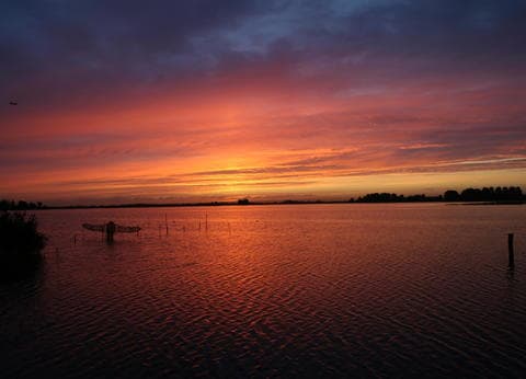 Caravanpark De Akker foto 4