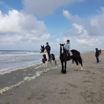 Camping 't Ananas foto 3