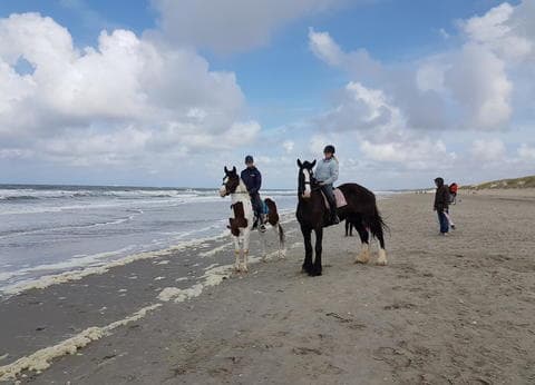 Camping 't Ananas foto 1