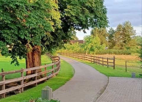 Hof van Autriche foto 4