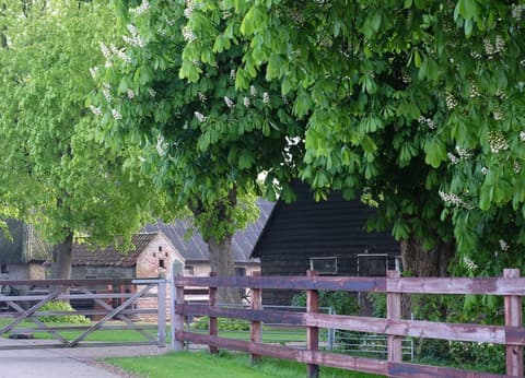 Hof van Autriche foto 3