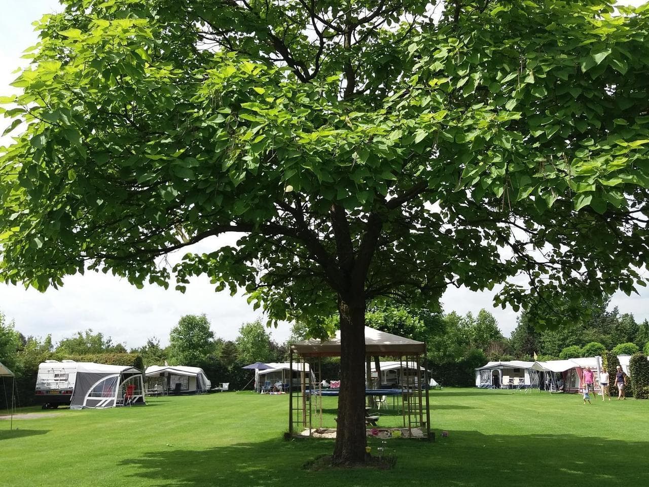 camping bett 2 personen KINGCAMP Pickup Zelt 2 Personen LKW Bett Zelt Innenzelt Truck Ladefläc