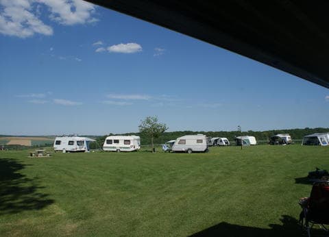 Boerderijcamping Berghemmerhof foto 2