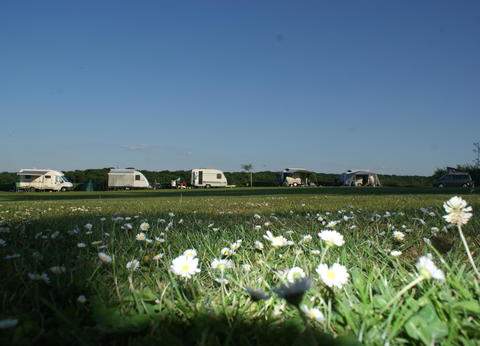 Boerderijcamping Berghemmerhof foto 1