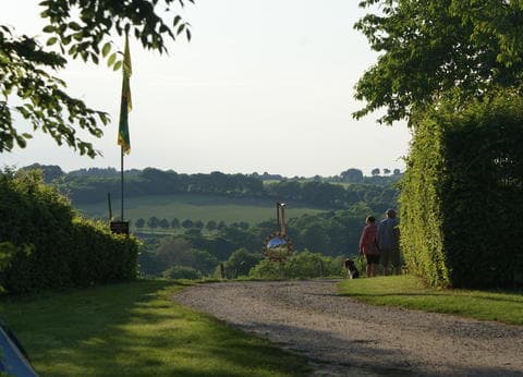 Boerderijcamping Berghemmerhof foto 4