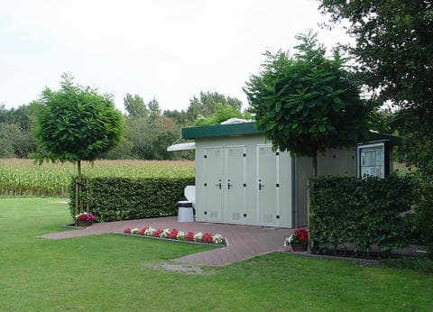 De Berkebomen foto 3