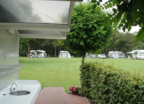 De Berkebomen foto 4