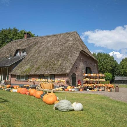 De Berkebomen foto 6