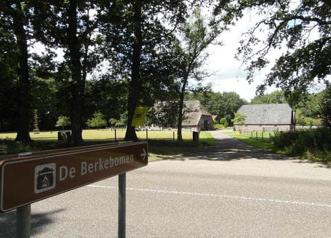 De Berkebomen foto 1