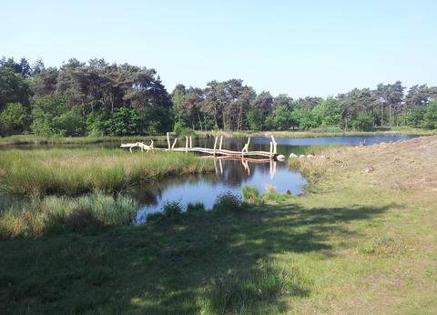 Bij de 3 Linden foto 1