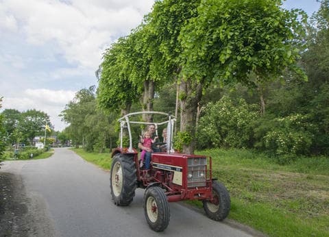 Bij de 3 Linden foto 6