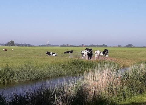 Camping De Blijer Wadden foto 5