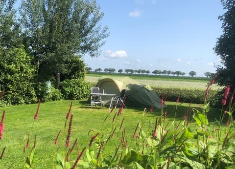 Boerderijcamping De Boergondiër foto 3