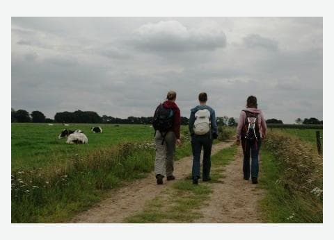 Boerderijcamping De Boergondiër foto 9