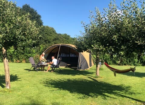 Boerderijcamping De Boergondiër foto 6