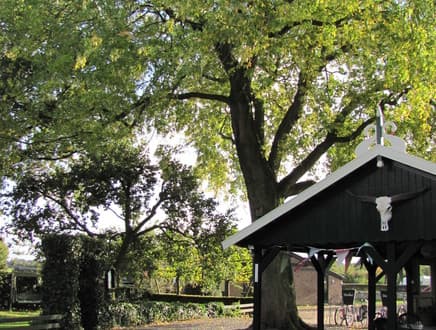 B&B en mini camping de Torenvalk foto 3