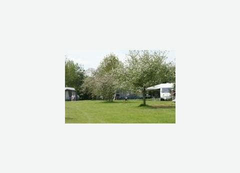 Camping de Boschhof foto 2