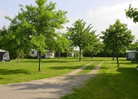 Camping de Boschhof foto 1