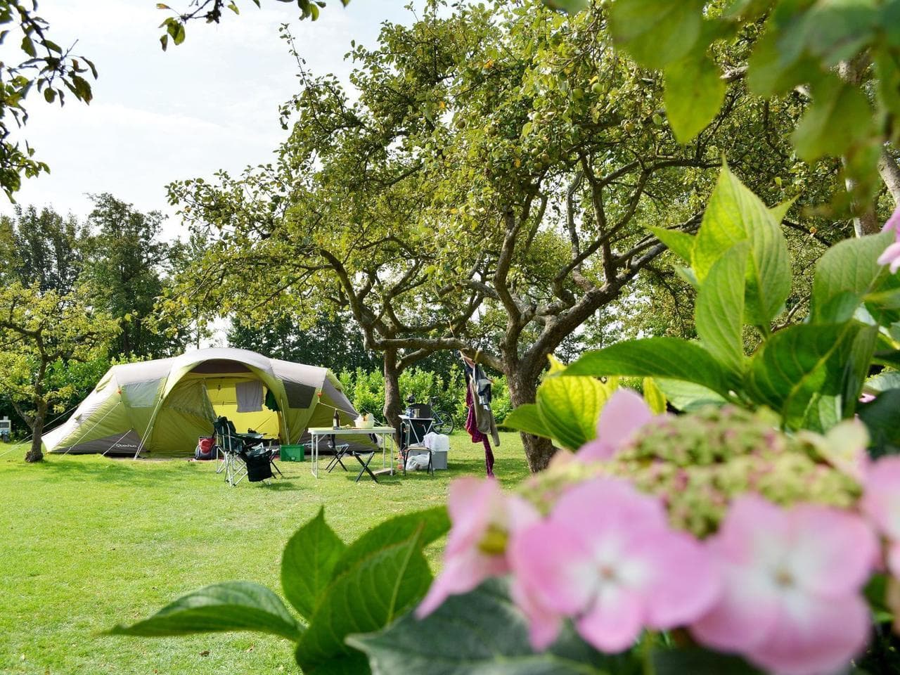Camping de Boshoek, Zeeland | In het Groen
