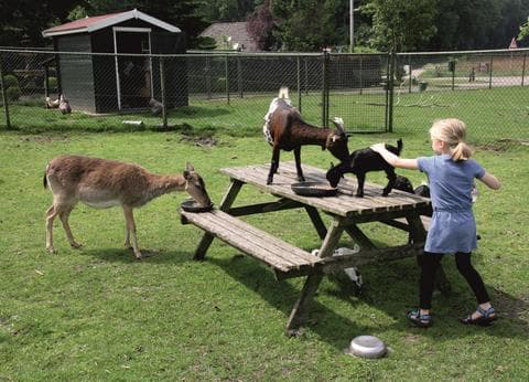 Camping De Bosrand foto 3