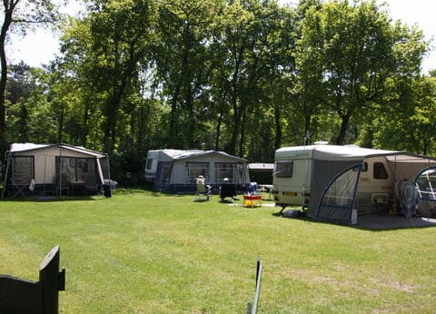 Camping De Bosrand foto 6