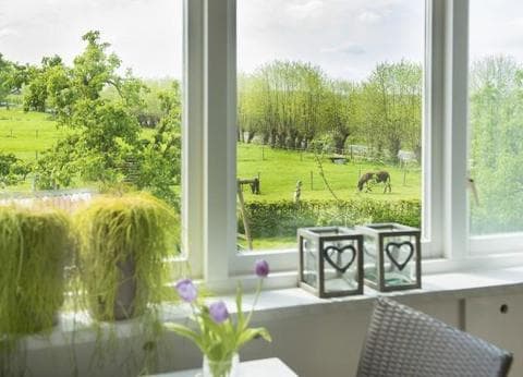 Boerderij "De Boterbloem" foto 9