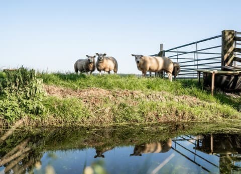 Hoeve Bouwlust foto 6