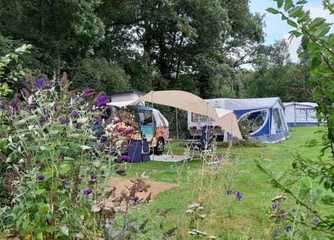 Minicamping de Bulte foto 5