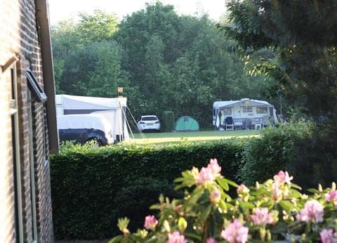 Minicamping de Bulte foto 4