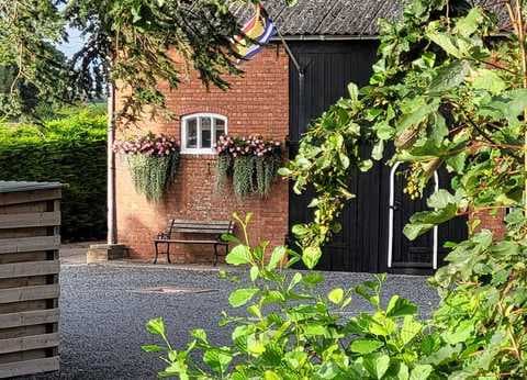 Minicamping De Catshoek foto 4