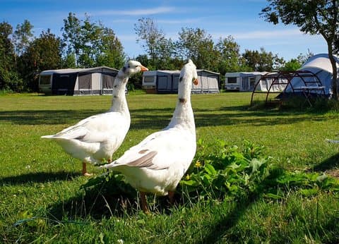 Corneliahoeve foto 2