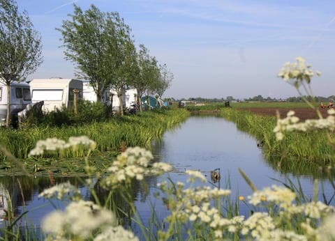 Boerderijcamping Demmerik foto 4