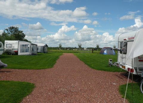 Boerderijcamping Demmerik foto 5