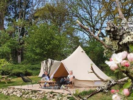 Vakantiehuis De Kamphoeve in Beringe foto 5