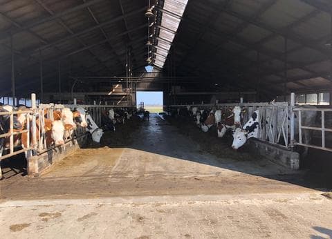 Boerderijcamping Don Voorzorg foto 5