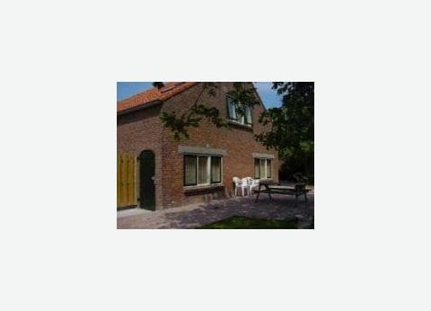 De Druiverank foto 6