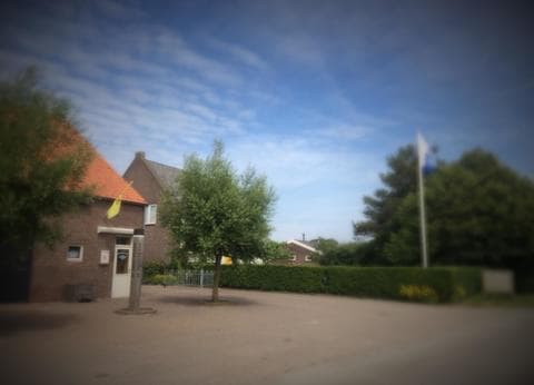 De Druiverank foto 5