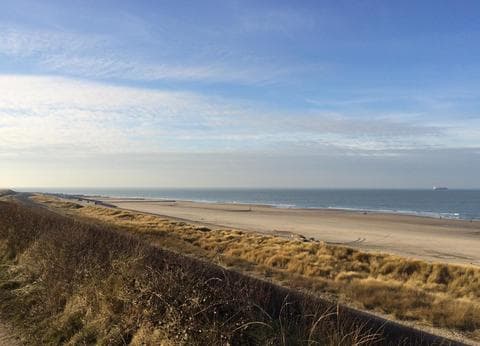 De Druiverank foto 4