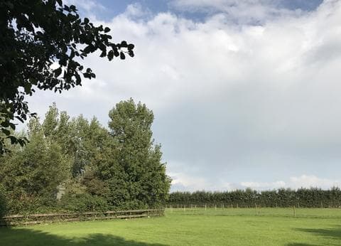 De Druiverank foto 2