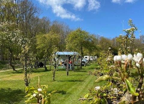 Boomgaardcamping Duinrand foto 1