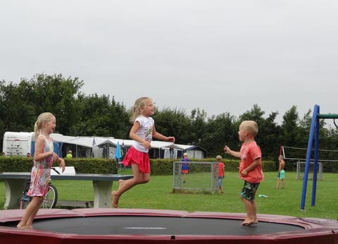 Minicamping Duinvliet foto 5