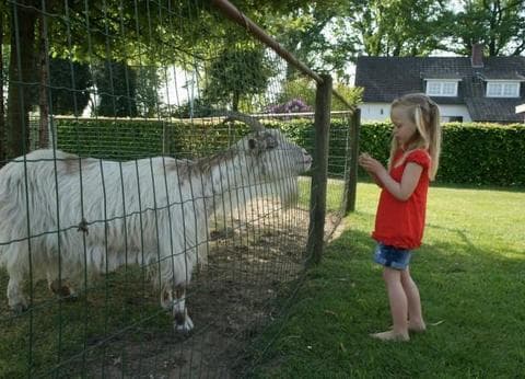 De Eendenkooi foto 4